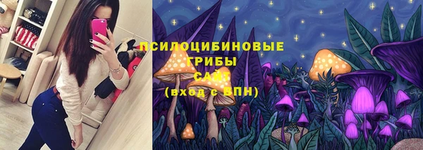эйфоретик Алексин