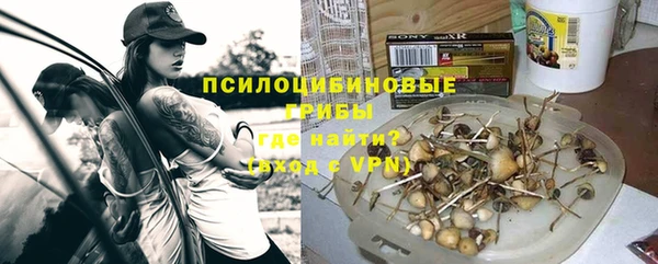apvp Алексеевка