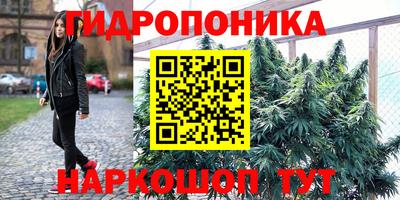 прущие крисы Нальчик