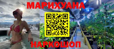 прущие крисы Нальчик