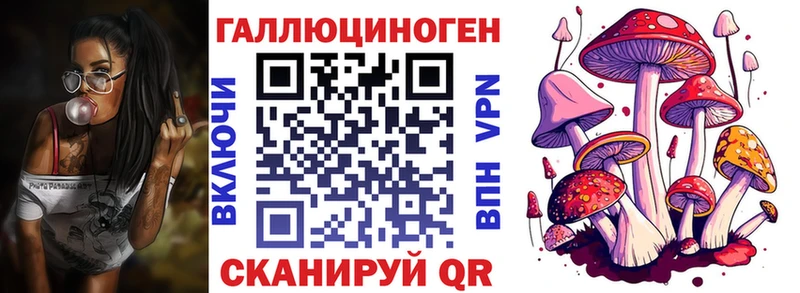 Галлюциногенные грибы Psilocybe  цена   Сорочинск 