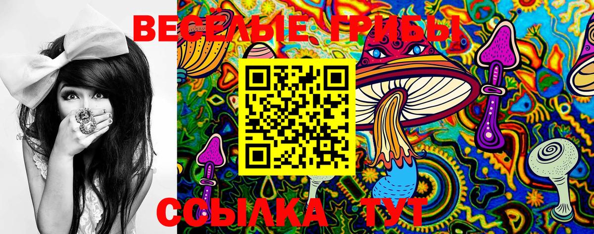 Галлюциногенные грибы Magic Shrooms Сорочинск